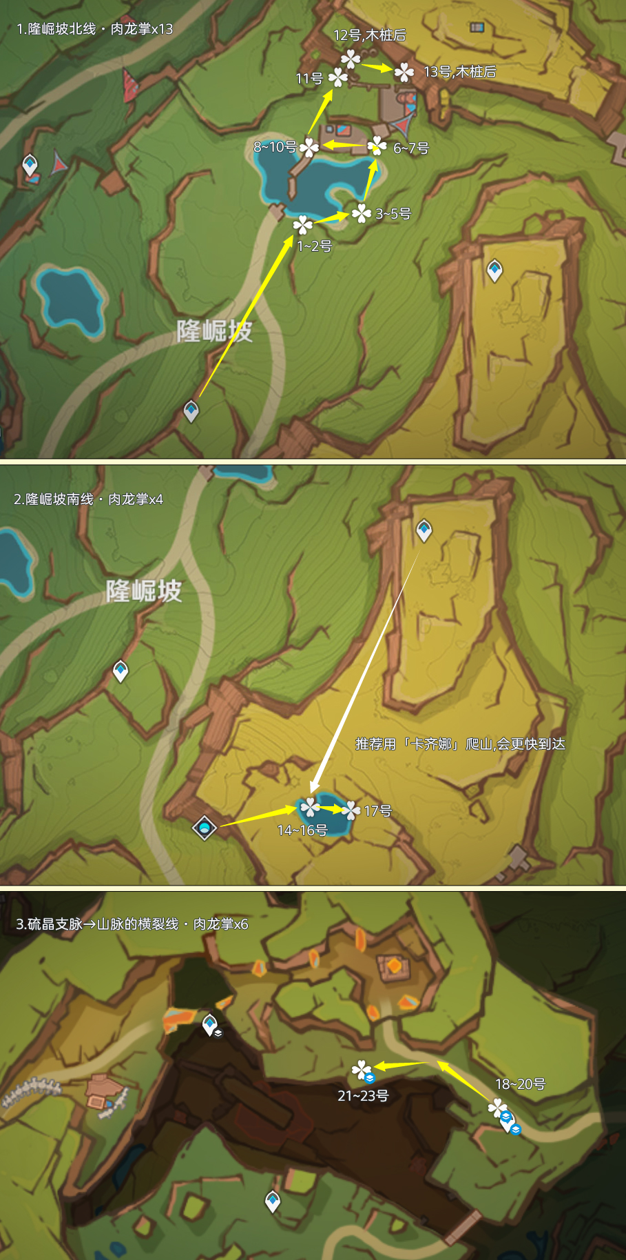 原神肉龙掌采集路线