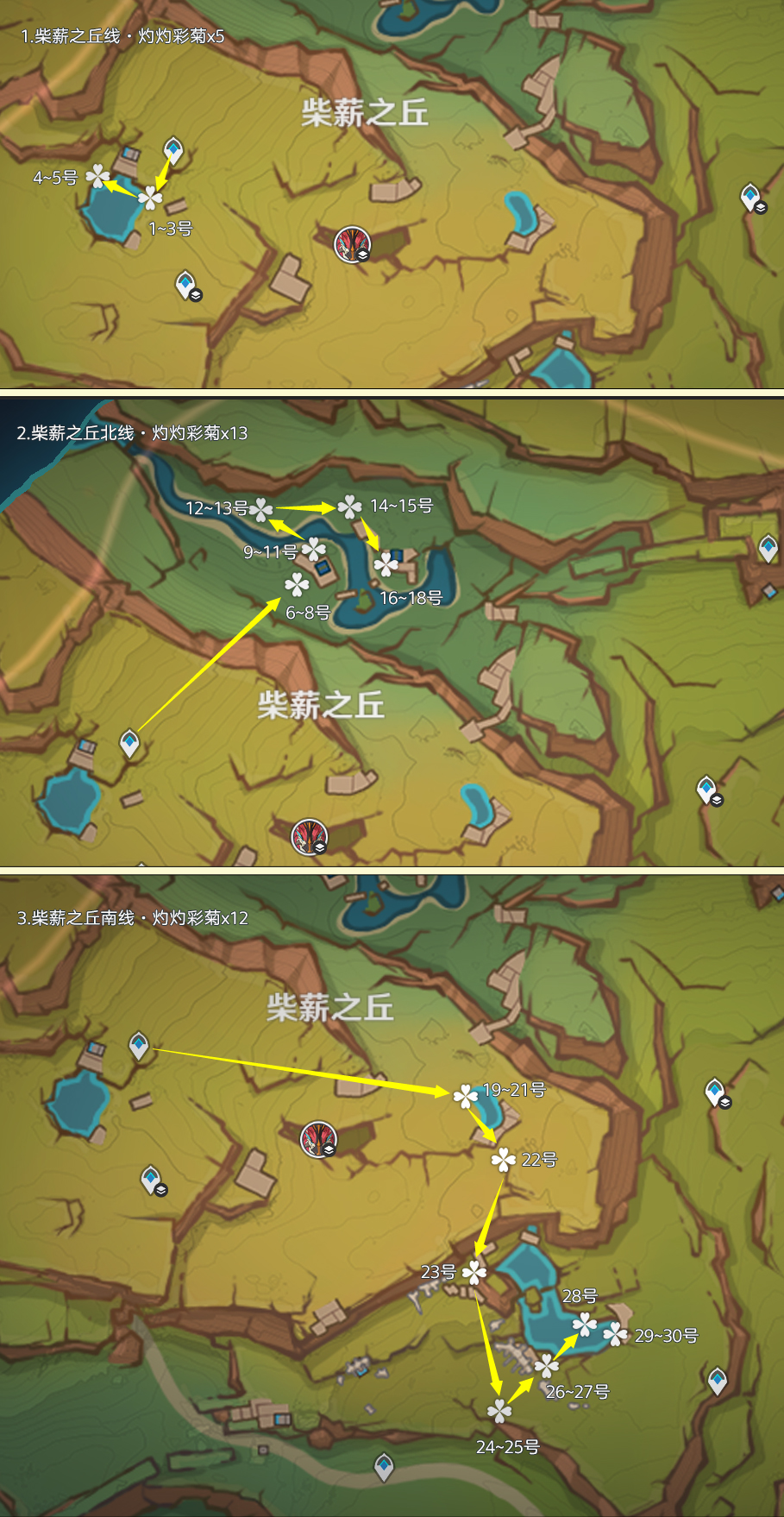 原神灼灼彩菊采集路线